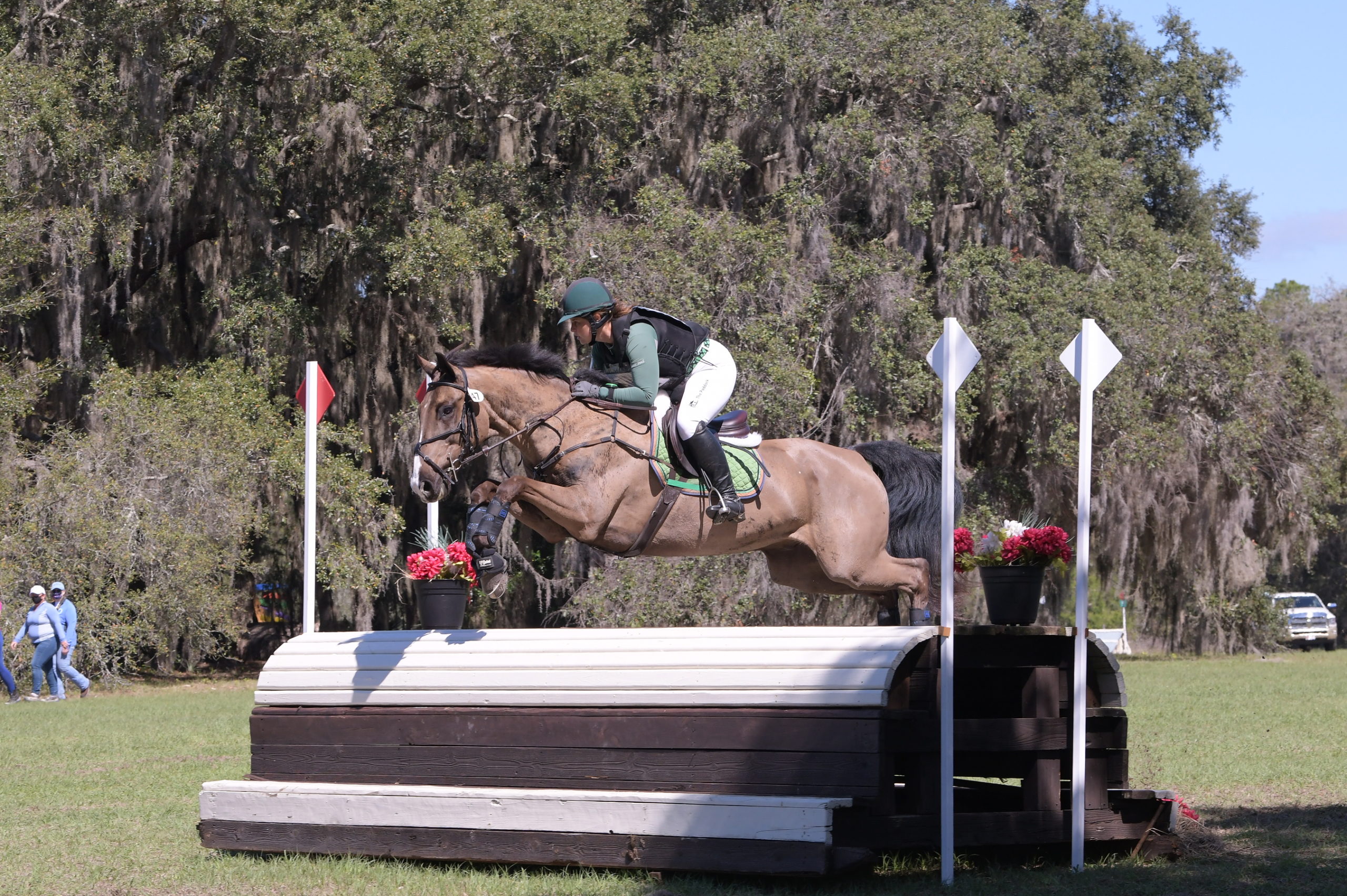 Horses – Invictus Eventing